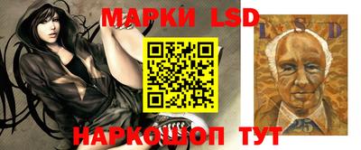 шишки Заводоуковск