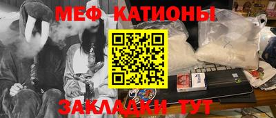 шишки Заводоуковск