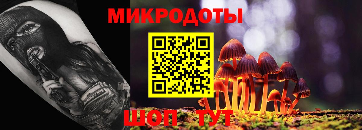 Псилоцибиновые грибы Cubensis Менделеевск